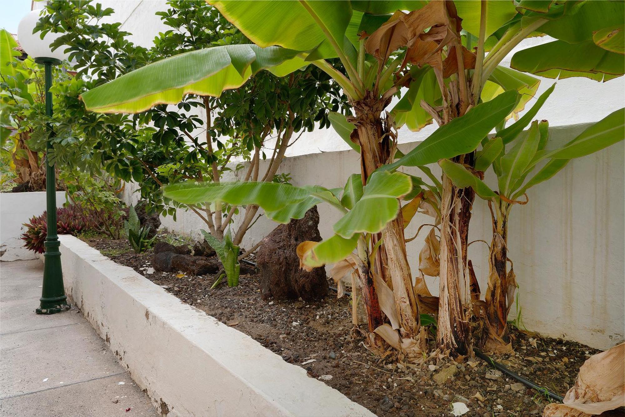 Pippa'S House Apartment San Agustin  Exterior photo